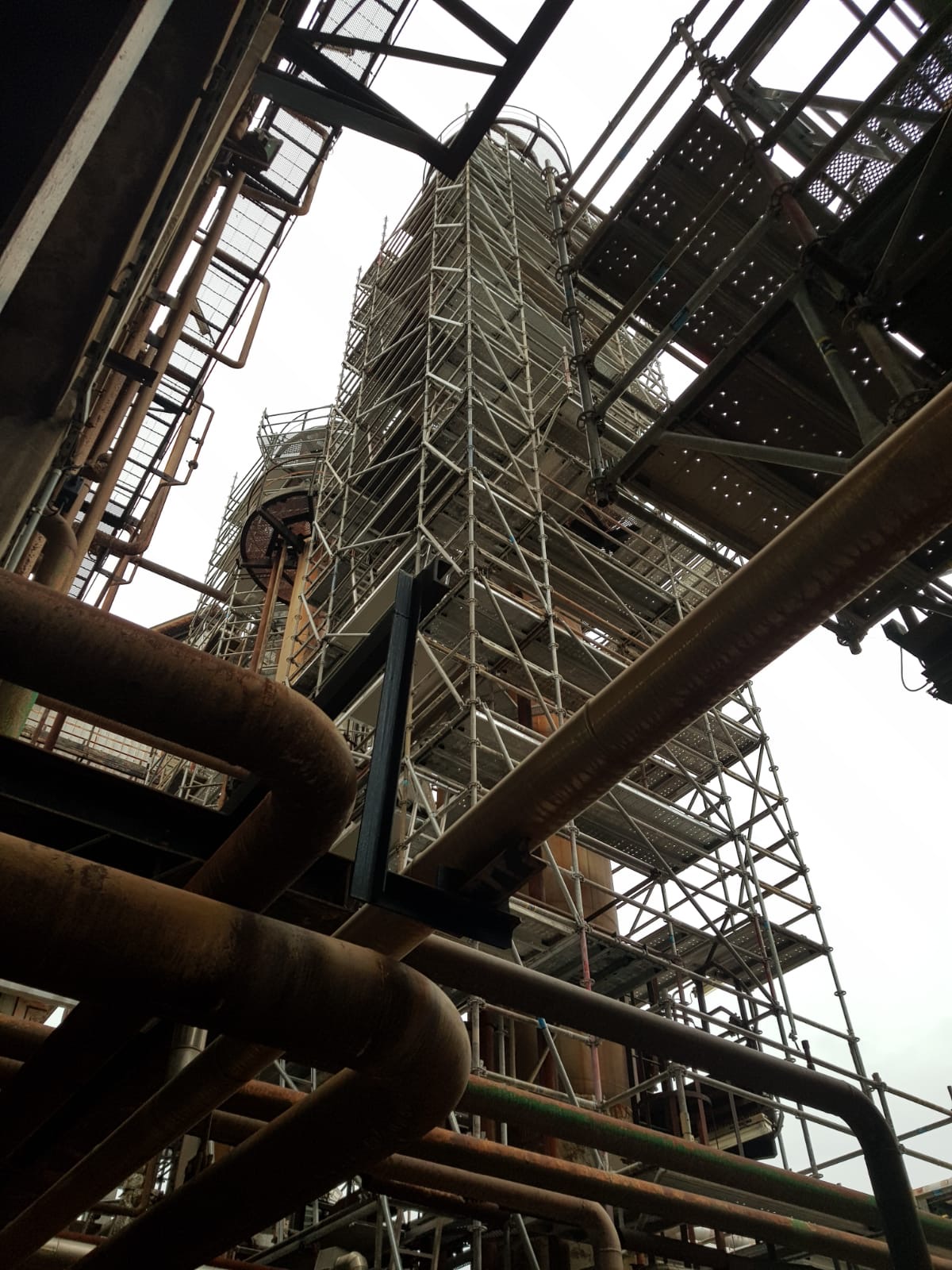 HOMY SCAFF