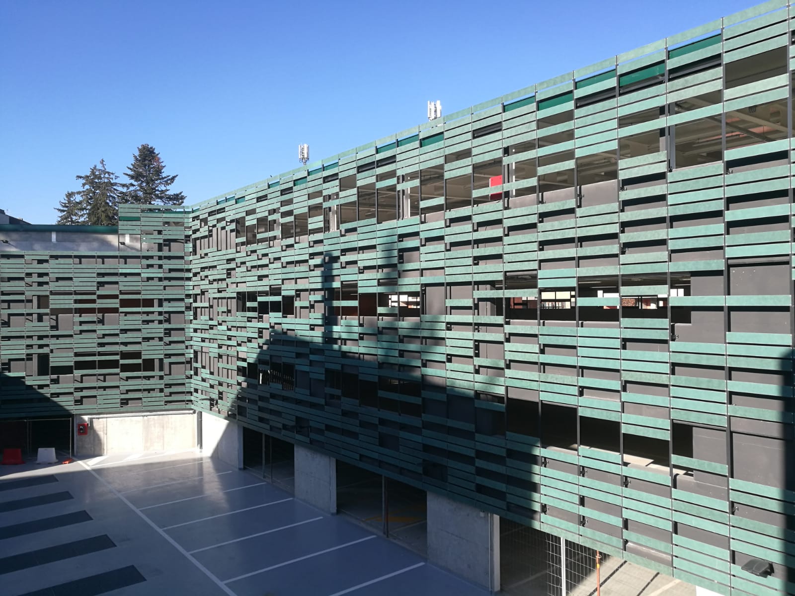 Tecu Patina