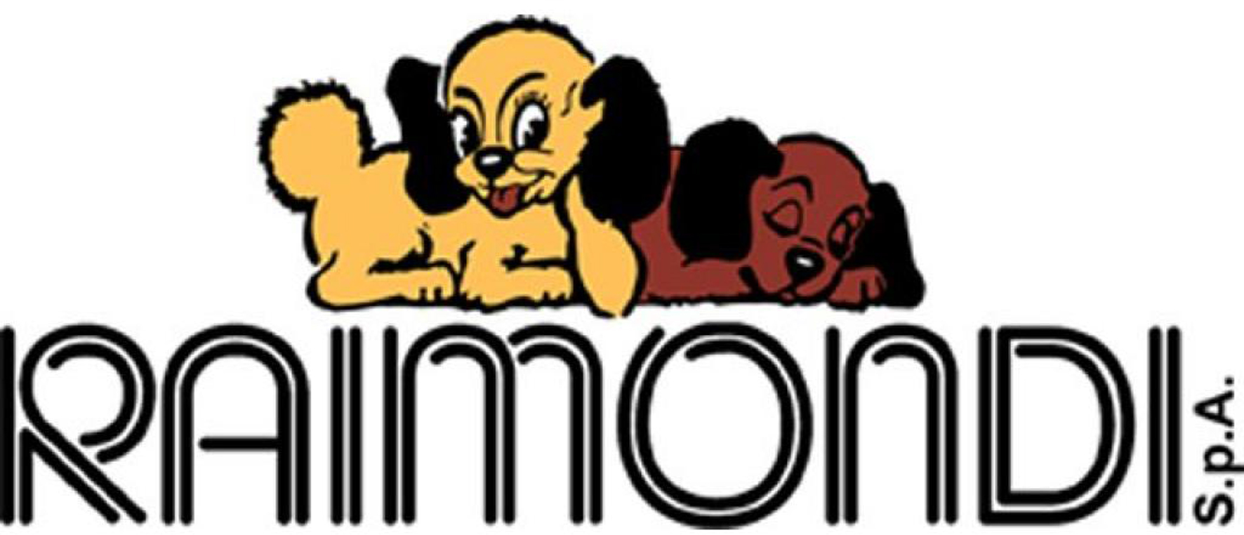 RAIMONDI S.P.A.
